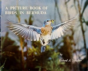 A Picture Book of Birds in Bermuda