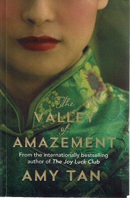 Imagen del vendedor de The Valley Of Amazement a la venta por Marlowes Books and Music
