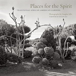 Imagen del vendedor de Places for the Spirit : Traditional African American Gardens a la venta por GreatBookPricesUK