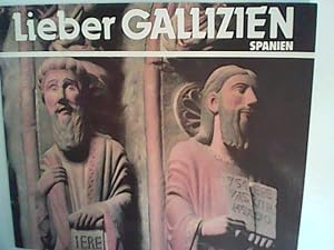 Imagen del vendedor de Lieber Gallizien Spanien a la venta por ANTIQUARIAT FÖRDEBUCH Inh.Michael Simon