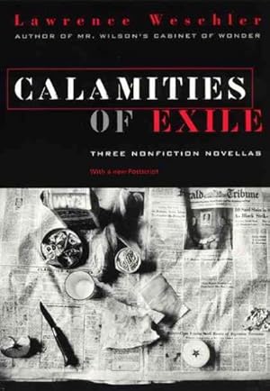 Seller image for Calamities of Exile for sale by GreatBookPricesUK