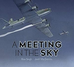 Seller image for A Meeting in the Sky by Singh, Rina [Hardcover ] for sale by booksXpress