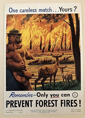 ONE CARELESS MATCH.YOURS? Remember- Only You Can Prevent Forest Fires! (Original Forest Service P...