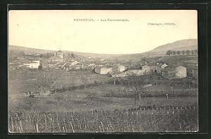 Carte postale Pierreclos, Vue Panoramique