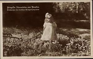 Bild des Verkufers fr Ansichtskarte / Postkarte Prinzessin Alexandrine von Preuen, NPG 6248 zum Verkauf von akpool GmbH