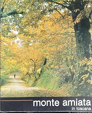 Seller image for monte amiata in toscana for sale by Shore Books