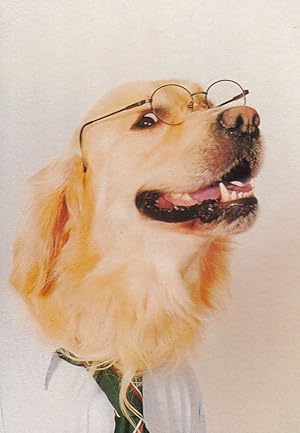 Immagine del venditore per Dog Dressed Fancy Dress School Child Boy Uniform Postcard venduto da Postcard Finder