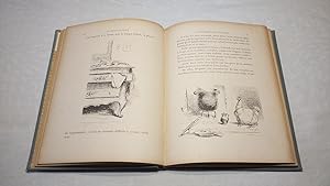 Bild des Verkufers fr La Poule  Poils zum Verkauf von Librairie KOEGUI