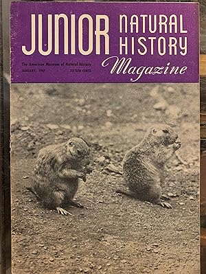 Seller image for Junior Natural History Magazine, January, 1947 Volume 11, No. 11 for sale by DogStar Books