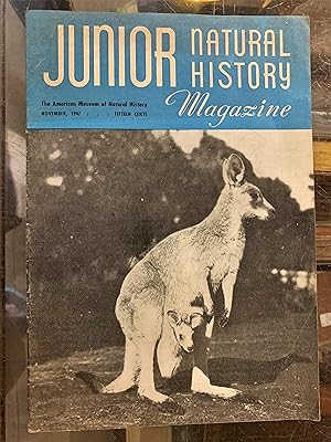 Junior Natural History Magazine, November, 1947 Volume 12, No. 9
