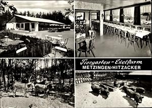 Seller image for Ansichtskarte / Postkarte Metzingen Ghrde in Niedersachsen, Tiergarten Eselfarm for sale by akpool GmbH