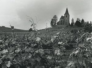 France Photographic Study Church Vineyard Old Deplechin Photo 1970