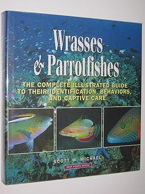 Wrasses and Parrotfishes - Reef Fishes Series #5