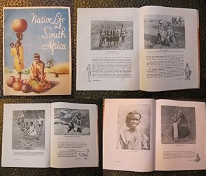 Imagen del vendedor de Native Life in South Africa. Introductory, Text and Descriptive Notes on the Illustrations. a la venta por Antiquariat KAIAPO