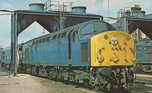 Seller image for Class 40 D224 Train Lucania Doncaster Railway Shed 1979 Postcard for sale by Postcard Finder