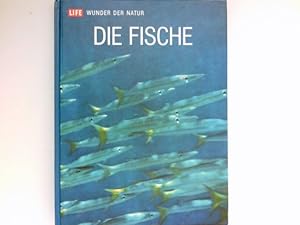 Die Fische :