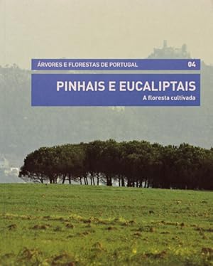 PINHAIS E EUCALIPTAIS: A FLORESTA CULTIVADA.