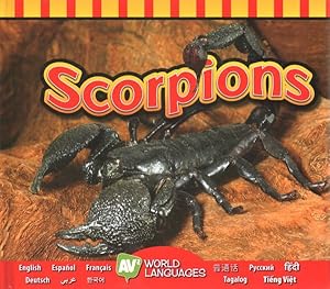 Seller image for Scorpions for sale by GreatBookPrices