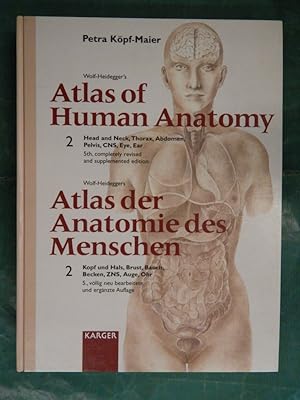 Seller image for Wolf Heideggers Atlas der Anatomie des Menschen - HIER NUR: Band 2 for sale by Buchantiquariat Uwe Sticht, Einzelunter.