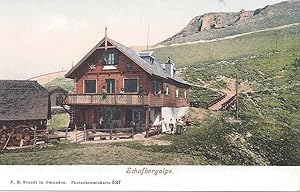 Schafbergalpe. 1 alte Orig.- Ansichtspostkarte