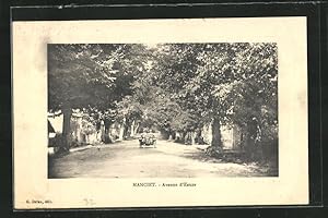 Carte postale Manciet, Avenue d`Eauze