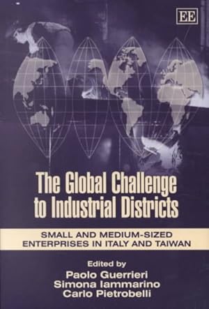 Imagen del vendedor de Global Challenge to Industrial Districts : Small and Medium Sized Enterprises in Italy and Taiwan a la venta por GreatBookPrices