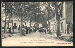 Carte postale Revel, Promenade, Avenue de Soreze