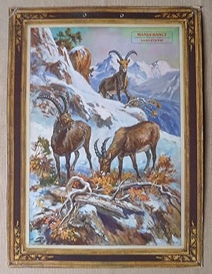 Seller image for Calendrier Manufrance illustr en couleurs , 29,4 x 40,5 cms , Groupe de Mouflons for sale by Benot HENRY