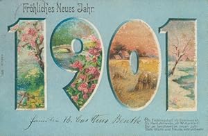 Perl Ansichtskarte / Postkarte Glückwunsch Neujahr 1901