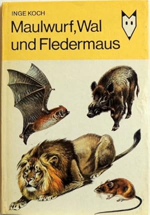 Maulwurf, Wal und Fledermaus;