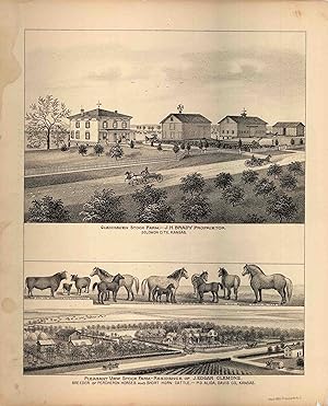 Bild des Verkufers fr L.H. Evert's 1887 Map of Glenhaven Stock Farm- J.H. Brady / Pleasant View Stock Farm - Residence of J. Edgar Clemons zum Verkauf von Art Source International Inc.