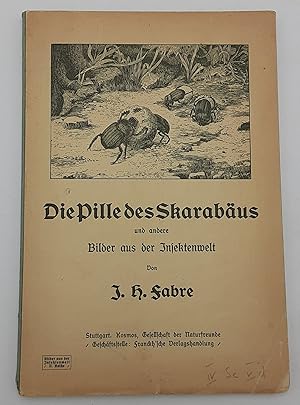 Die Pille des Skarabaus und andere Bilder aus der Insektenwelt.