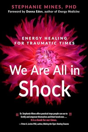 Seller image for We Are All in Shock : Energy Healing for Traumatic Times for sale by GreatBookPricesUK
