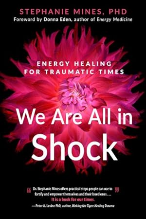 Imagen del vendedor de We Are All in Shock : Energy Healing for Traumatic Times a la venta por GreatBookPricesUK