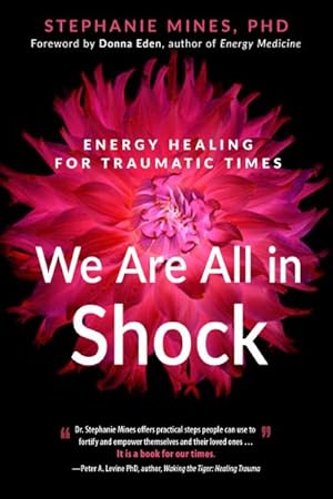 Imagen del vendedor de We Are All in Shock : Energy Healing for Traumatic Times a la venta por GreatBookPrices