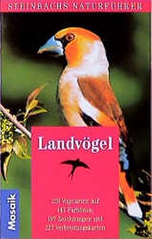 Imagen del vendedor de Landvgel (Steinbachs Naturfhrer) a la venta por Antiquariat Armebooks