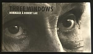 Three Windows: Hommage á Robert Laax - a video installation.