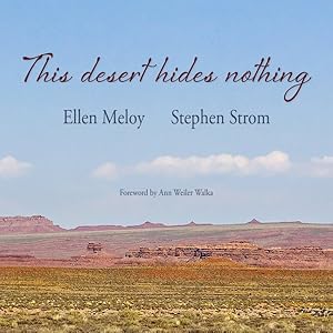 Seller image for This Desert Hides Nothing for sale by GreatBookPrices