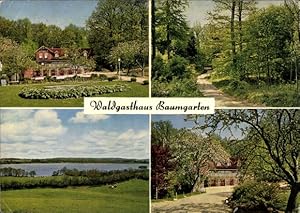 Bild des Verkufers fr Ansichtskarte / Postkarte Bistensee Eckernfrde, Waldgasthaus Baumgarten, Seeblick, Waldpartie zum Verkauf von akpool GmbH