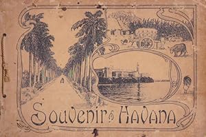 Seller image for Souvenir Havana for sale by Heights Catalogues, Books, Comics