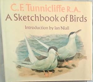 Seller image for A Sketchbook of Birds for sale by Chapter 1