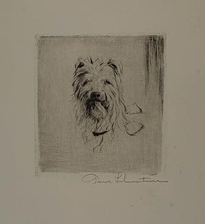 Radierung "Hundekopf", rechts unten eigenhändig mit Bleistift signiert; um 1935, 8,5 x 8 cm (25 x...