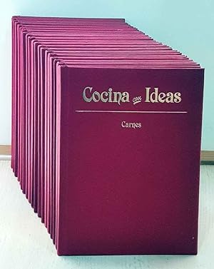 COCINA CON IDEAS (20 tomos)