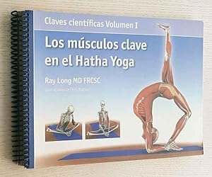 LOS MÚSCULOS CLAVE EN EL HATHA YOGA