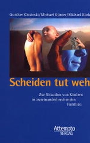 Image du vendeur pour Scheiden tut weh: Zur Situation von Kindern in auseinanderbrechenden Familien mis en vente par Gerald Wollermann