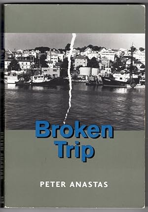 Broken Trip