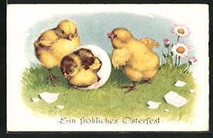 Ansichtskarte Osterküken schlüpft aus dem Ei, Ostergruss