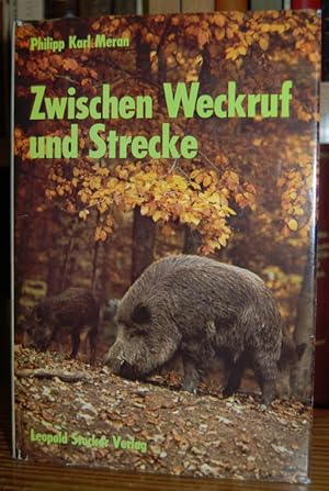 Seller image for ZWISCHEN WECKRUF UND STRECKE for sale by Fbula Libros (Librera Jimnez-Bravo)