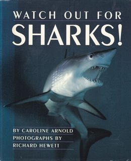 Watch out for sharks!