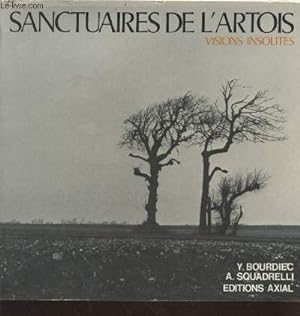 Imagen del vendedor de Sanctuaires de l'Artois : Visions insolites a la venta por Le-Livre